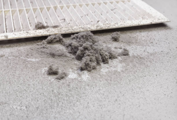 Best Air Vent Cleaning Services  in La Grange Park, IL