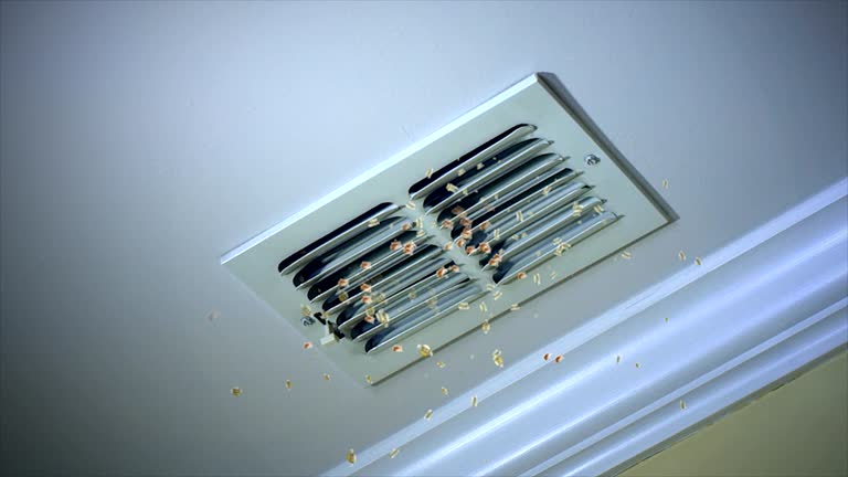 Best Air Duct Cleaning Near Me  in La Grange Park, IL