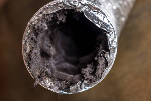 Best Air Duct Cleaning Company Near Me  in La Grange Park, IL