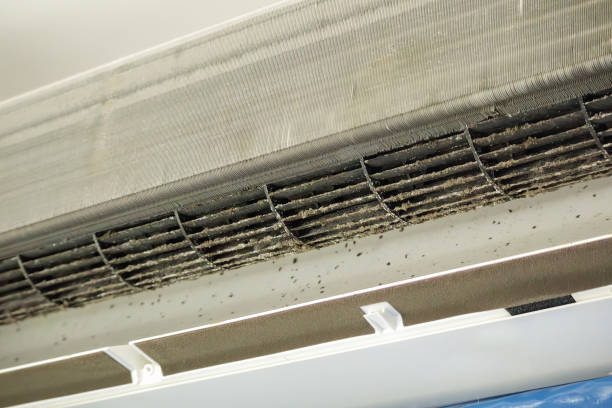 Best Ventilation Cleaning Services  in La Grange Park, IL